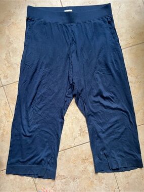 ‼️NWOT: Pact Organic Navy Blue Airplane Flare Sweatpants - XXL